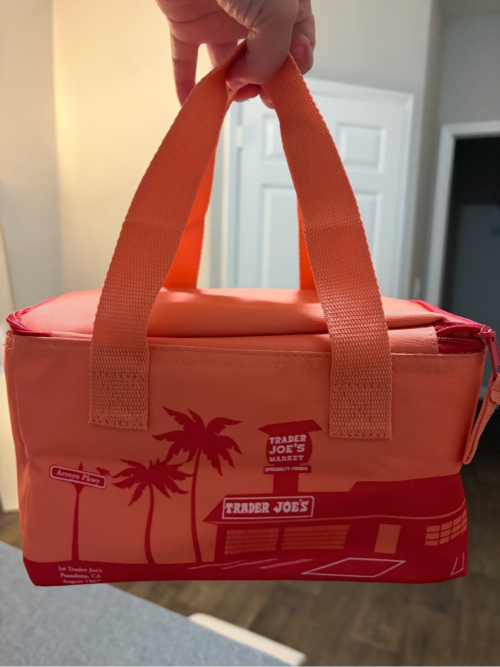 NWOT Trader Joe’s Mini Insulated Lunch Bag in Peach & Orange